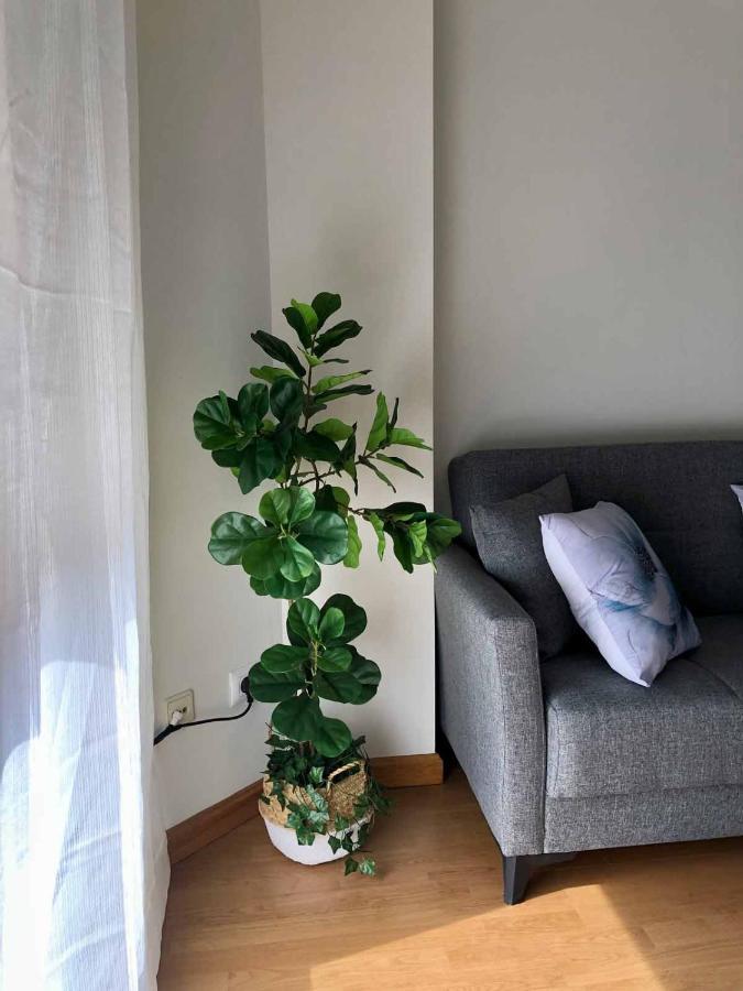 Apartamentos Schultz Gijón Exterior foto